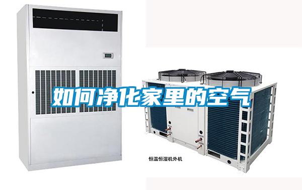 如何净化家里的空气
