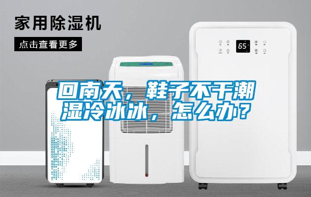 回南天，鞋子不干潮湿冷冰冰，怎么办？