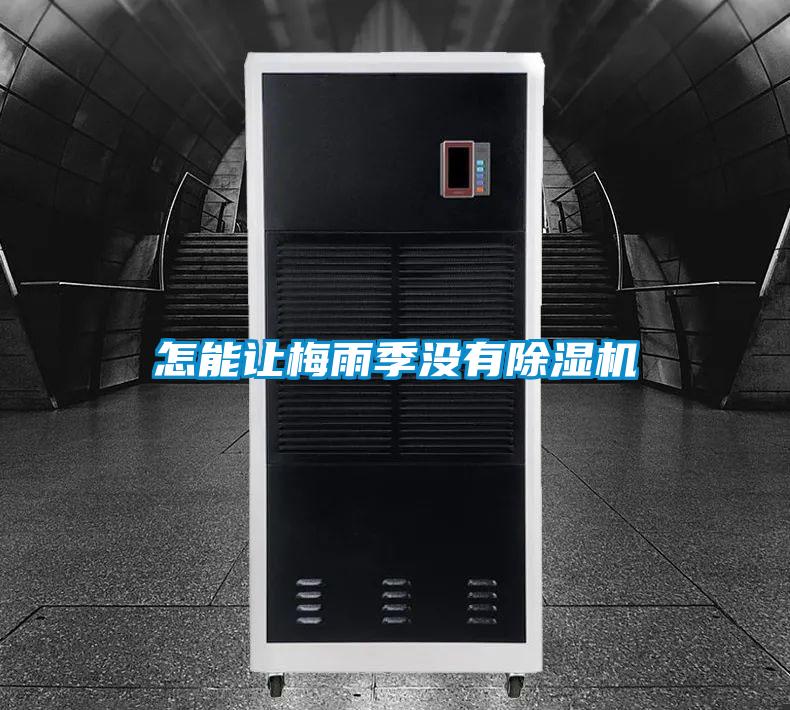 怎能让梅雨季没有除湿机