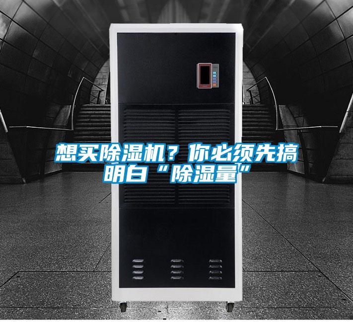 想买除湿机？你必须先搞明白“除湿量”