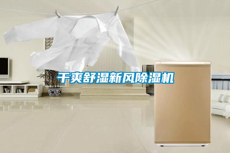 干爽舒湿新风除湿机