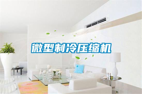 微型制冷压缩机