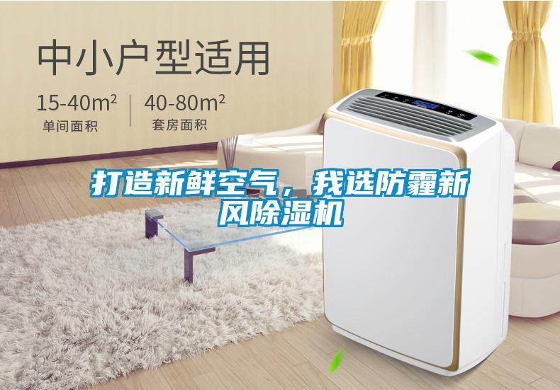打造新鲜空气,我选防霾新风除湿机