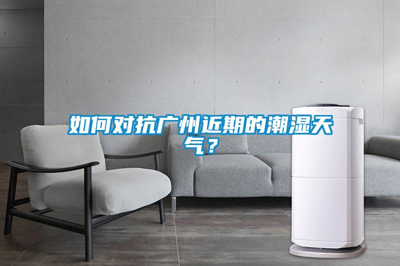 如何对抗广州近期的潮湿天气？