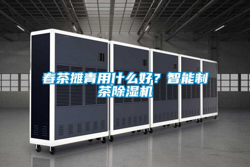 春茶摊青用什么好?智能制茶除湿机