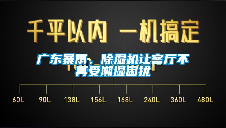 广东暴雨，除湿机让客厅不再受潮湿困扰