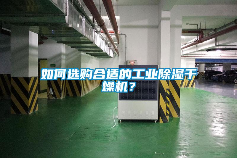 如何选购合适的工业除湿干燥机？