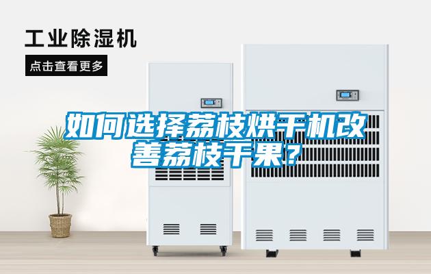 如何选择荔枝烘干机改善荔枝干果？