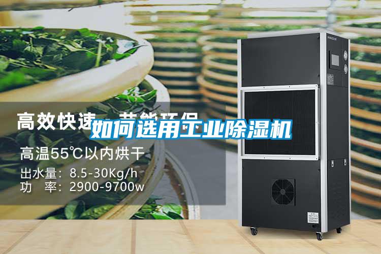 如何选用工业除湿机