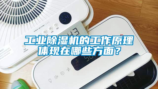 工业除湿机的工作原理体现在哪些方面?