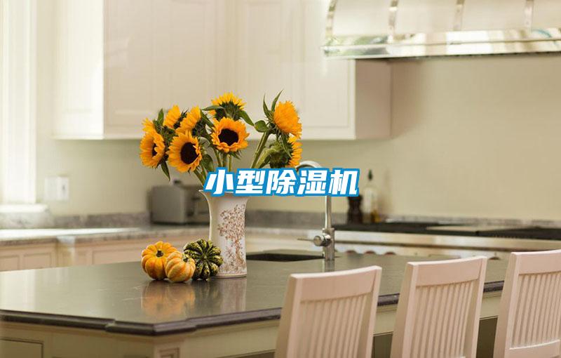 小型除湿机