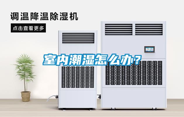 室内潮湿怎么办？