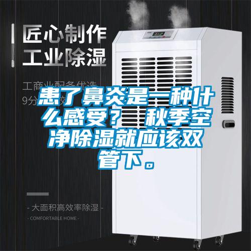 患了鼻炎是一种什么感受？ 秋季空净除湿就应该双管下。