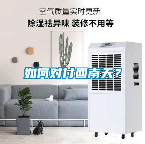如何对付回南天？