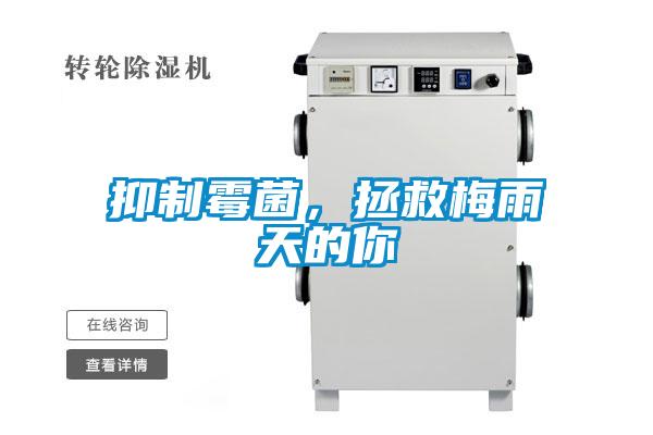 抑制霉菌，拯救梅雨天的你