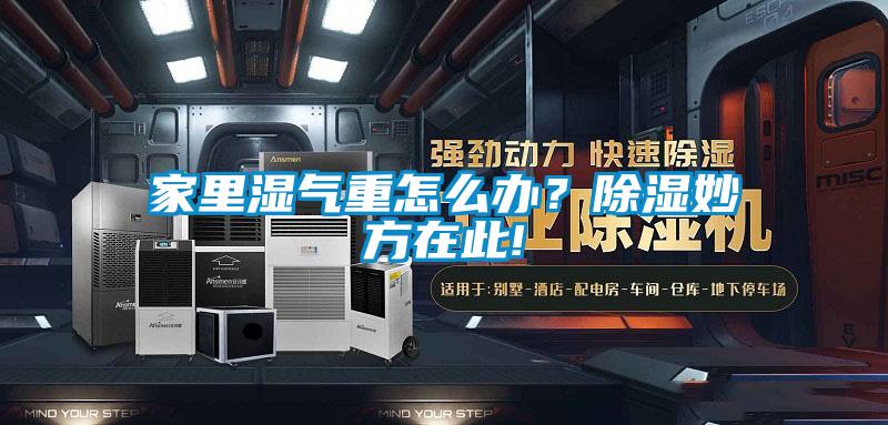 家里湿气重怎么办?除湿妙方在此!