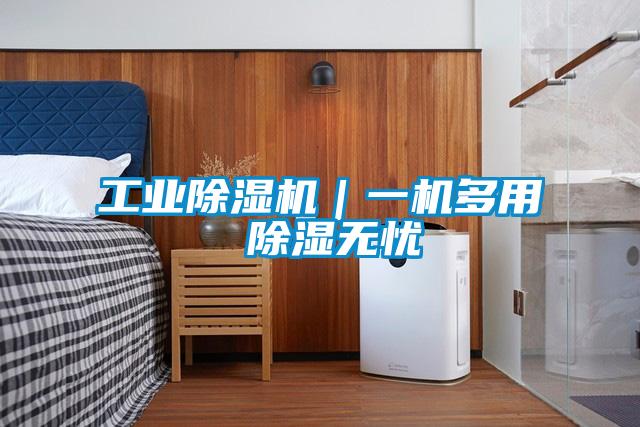工业除湿机|一机多用 除湿无忧