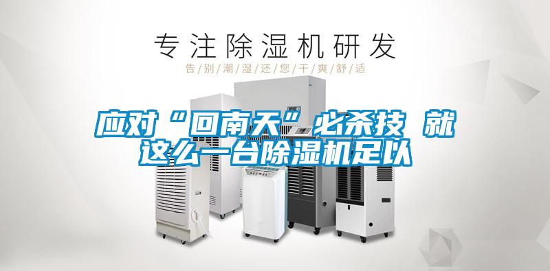 应对“回南天”必杀技 就这么一台除湿机足以