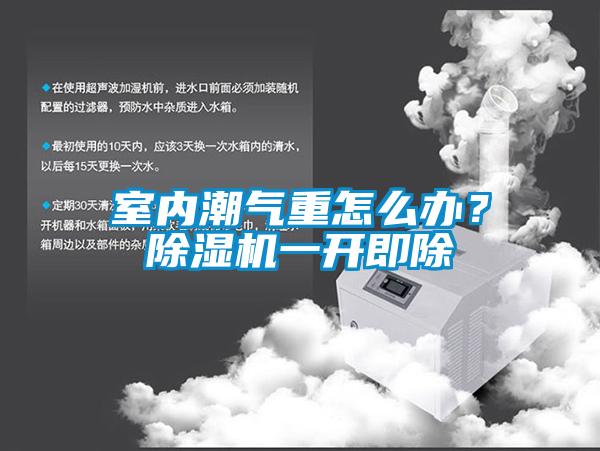 室内潮气重怎么办？除湿机一开即除