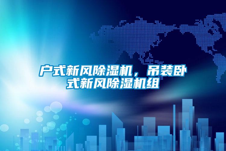 户式新风除湿机，吊装卧式新风除湿机组