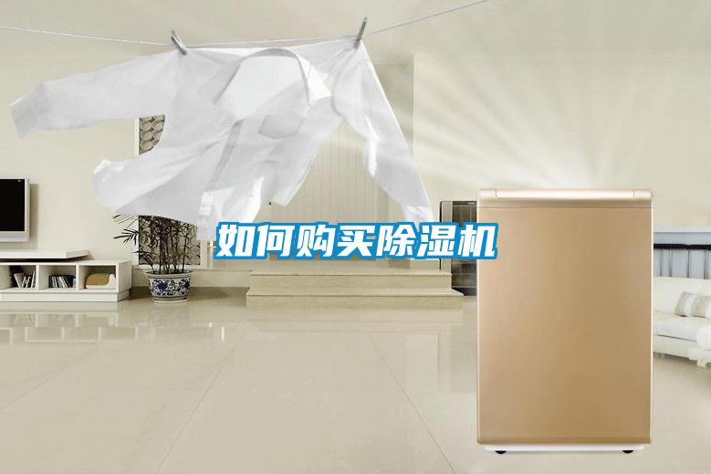 如何购买除湿机