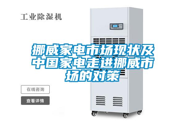 挪威家电市场现状及中国家电走进挪威市场的对策