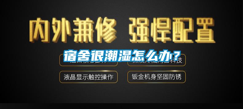 宿舍很潮湿怎么办？