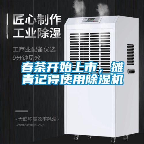 春茶开始上市,摊青记得使用除湿机