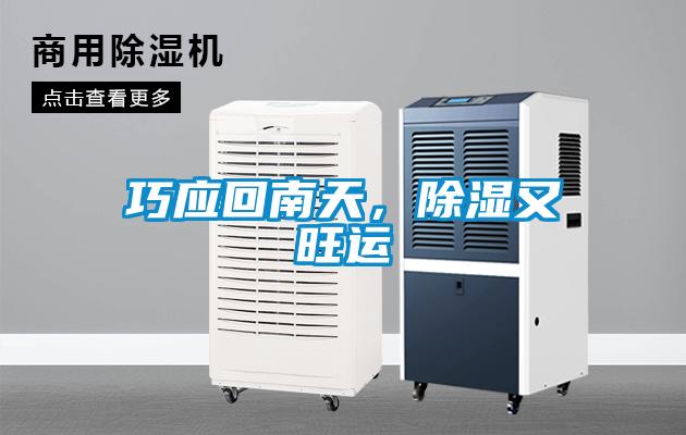 巧应回南天，除湿又旺运
