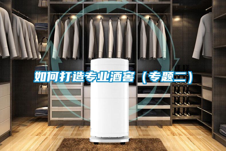 如何打造专业酒窖(专题二)