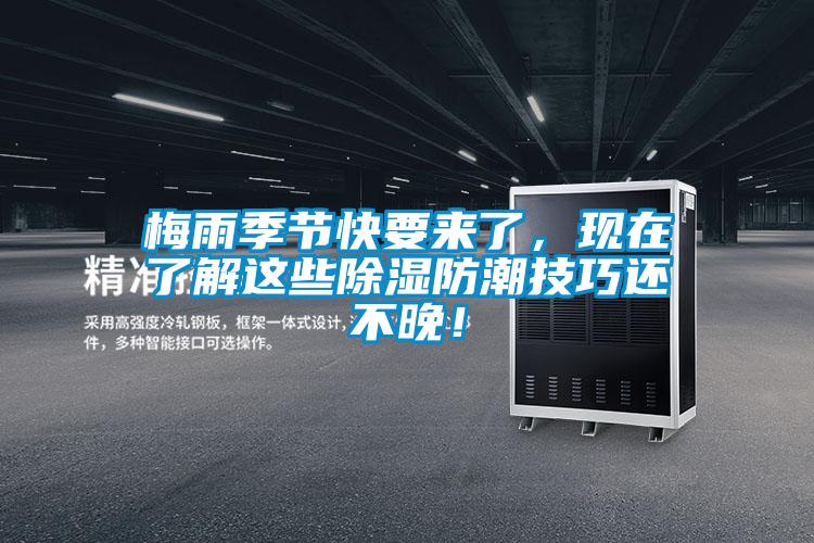 梅雨季节快要来了，现在了解这些除湿防潮技巧还不晚！