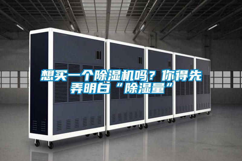 想买一个除湿机吗？你得先弄明白“除湿量”