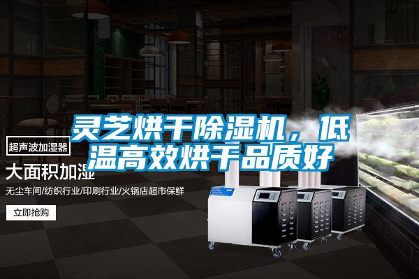 灵芝烘干除湿机，低温高效烘干品质好