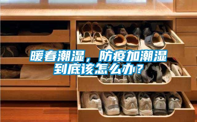 暖春潮湿，防疫加潮湿到底该怎么办？