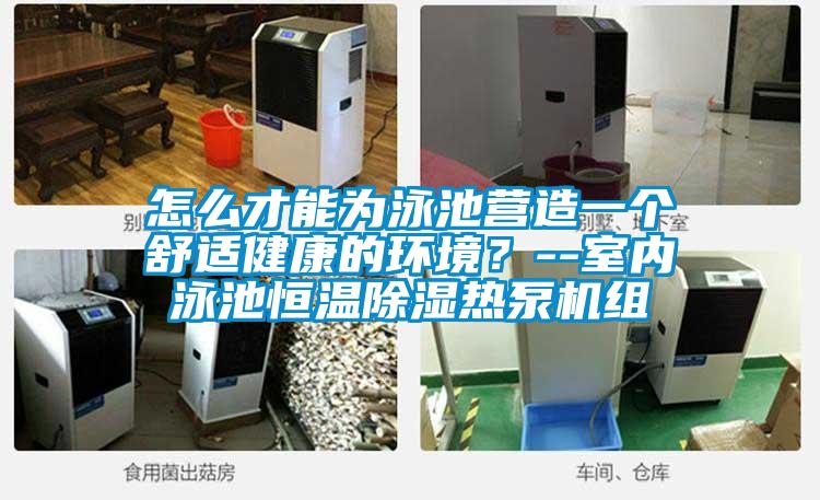 怎么才能为泳池营造一个舒适健康的环境？--室内泳池恒温除湿热泵机组