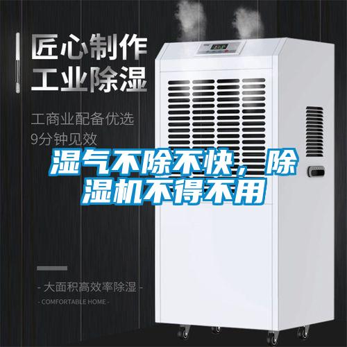 湿气不除不快,除湿机不得不用