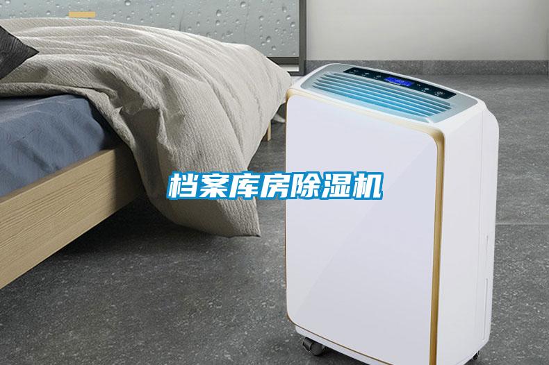 档案库房除湿机