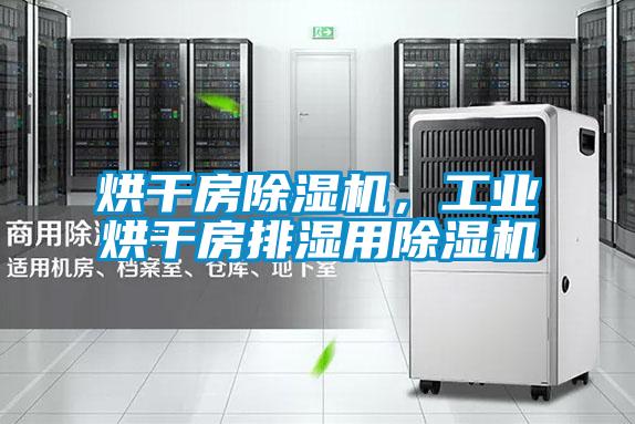 烘干房除湿机，工业烘干房排湿用除湿机