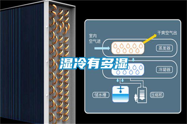 湿冷有多湿
