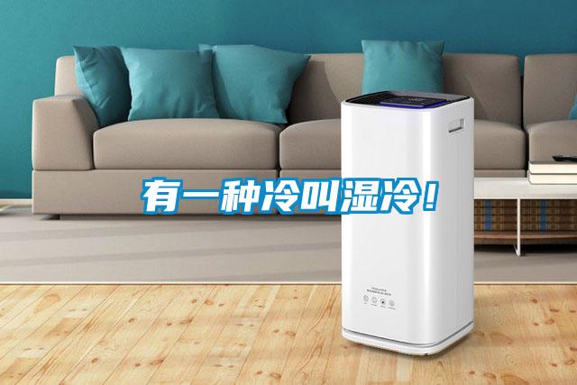 有一种冷叫湿冷!