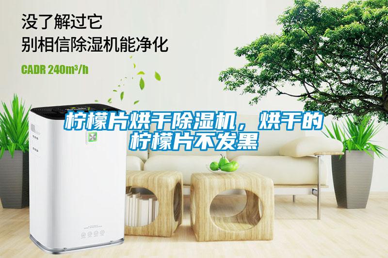 柠檬片烘干除湿机，烘干的柠檬片不发黑