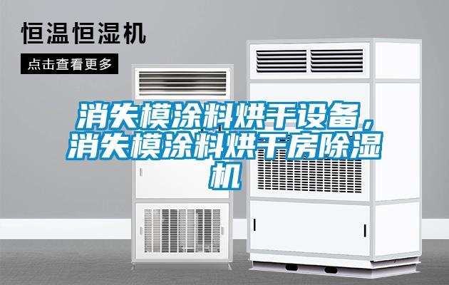 消失模涂料烘干设备，消失模涂料烘干房除湿机