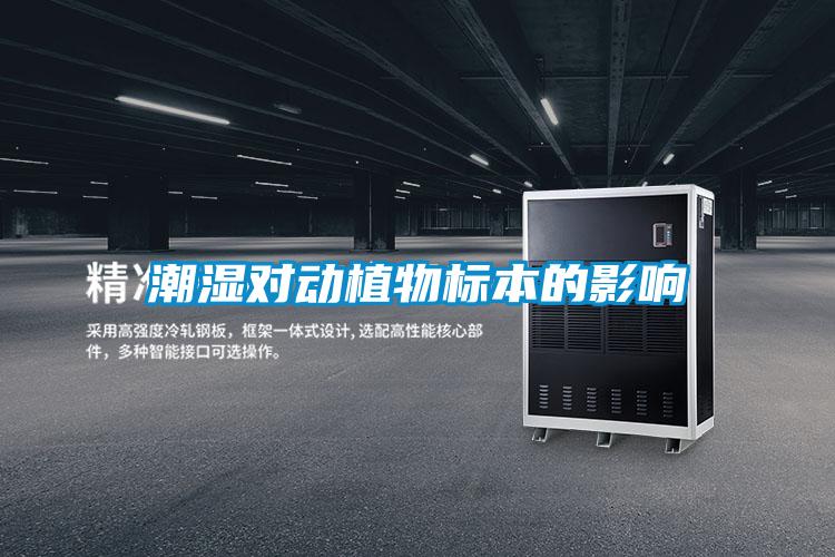 潮湿对动植物标本的影响