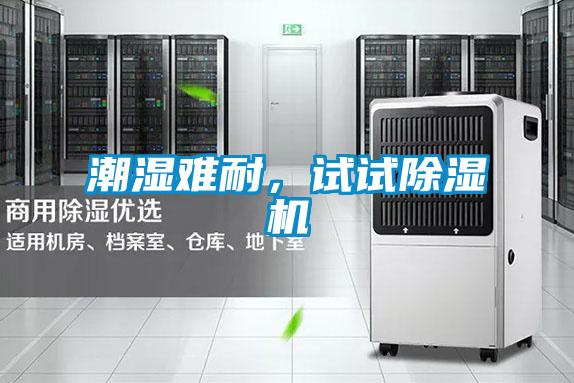 潮湿难耐，试试除湿机