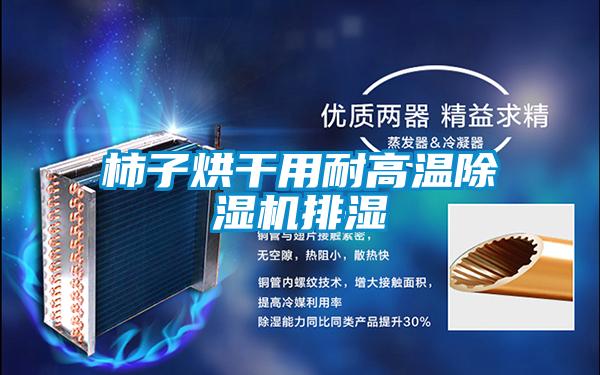 柿子烘干用耐高温除湿机排湿