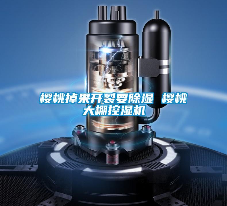 樱桃掉果开裂要除湿 樱桃大棚控湿机