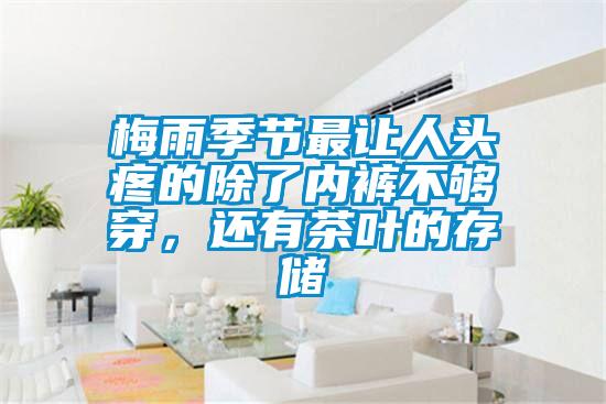 梅雨季节最让人头疼的除了内裤不够穿，还有茶叶的存储