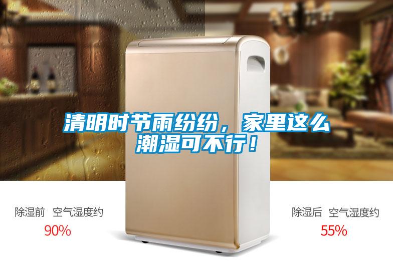 清明时节雨纷纷，家里这么潮湿可不行！