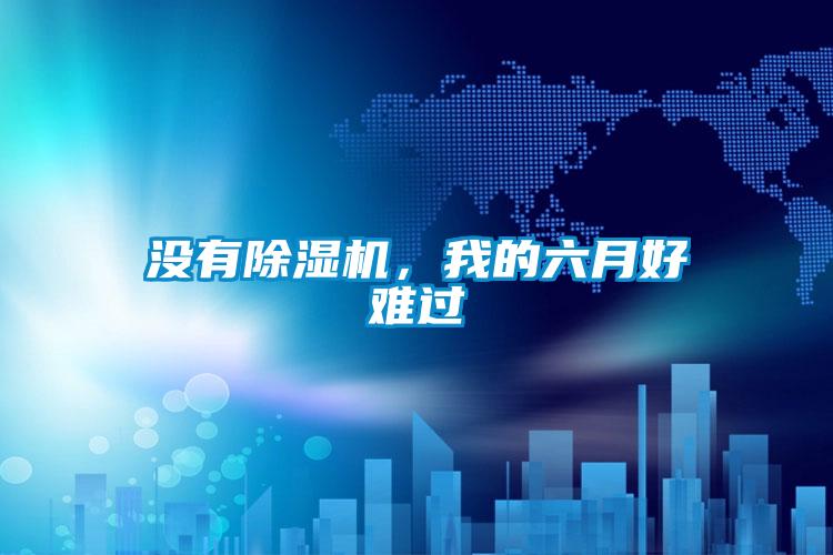 没有除湿机，我的六月好难过