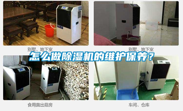 怎么做除湿机的维护保养？